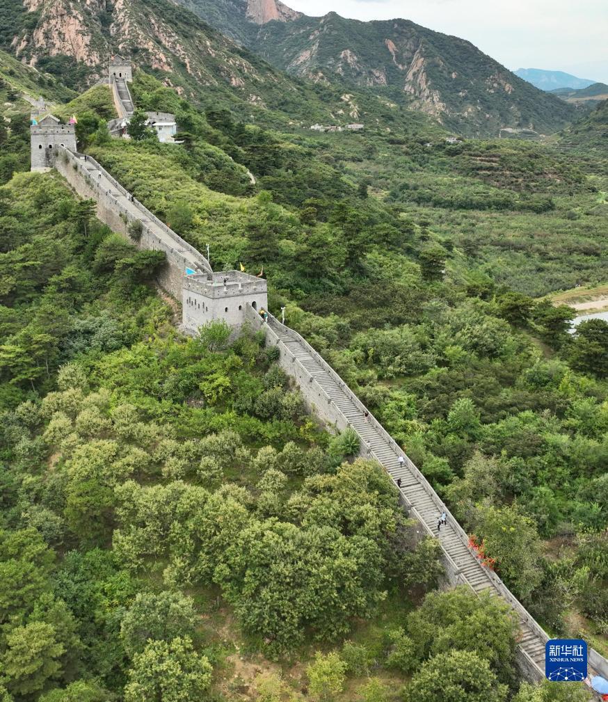 大圣闹海捕鱼